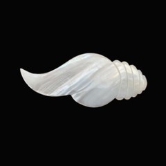 Conch Shell Hair Clips Barrettes White Mother Of Pearl Shell Hair Accessories