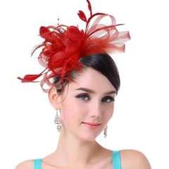 Women Ladies Fascinator Headband with a Clip，Reversible Feather Kentucky