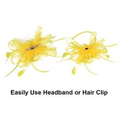 Women Ladies Fascinator Headband with a Clip，Reversible Feather Kentucky