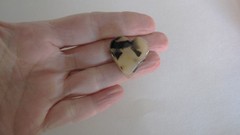 Small mini beige black brown marbled tortoise heart shaped hair claw clip