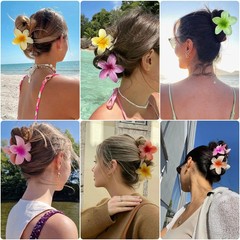 7 Pack Best Seller Pack Women Plastic Hair Claws Hair Clips Various Styles