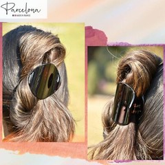Parcelona French Onde Small 2 3/4″ Celluloid Side Slide in Hair Claw for Women