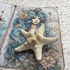 Beach Festival Cruise Star fish Starfish Hair Clip Barrette Nautical Pool Party