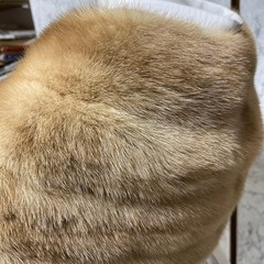 Pastel Mink Shawl Light Brown Yellow Tones Real Fur Fashion Accessory