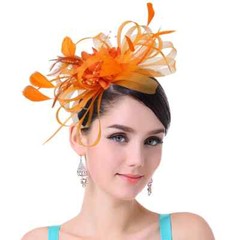 Women Ladies Fascinator Headband with a Clip，Reversible Feather Kentucky