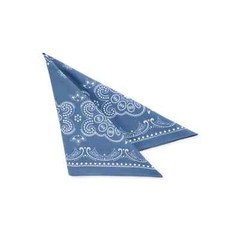 Lot of 2Western Star Bandana – Indigo Blue & Arctic White, Time and Tru Women’s