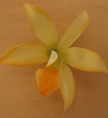 3 1/2″ Yellow/Orange Orchid Silk Flower Hair Clip, Beach Luau, Wedding, Prom,