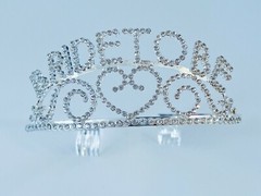 Hen’s night Bride to be wedding Party Bachelorette Crystal Silver Tiara Crown