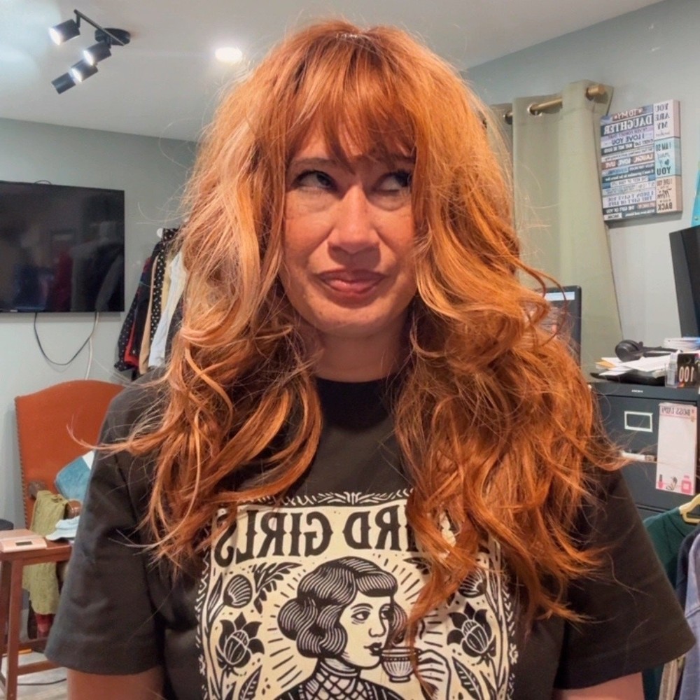 Brown Blonde Highlights 24″ Wig NWOT