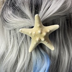 Beach Festival Cruise Star fish Starfish Hair Clip Barrette Nautical Pool Party