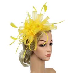 Women Ladies Fascinator Headband with a Clip，Reversible Feather Kentucky