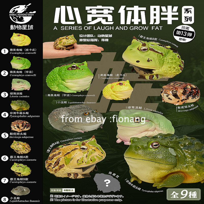 Animal Planet’s Heart Wide And Body Fat Chapter 13 Frog Series