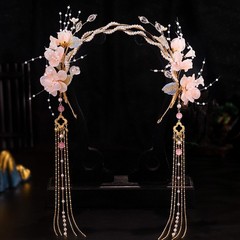 Exquisitely Chinese Ancient Princess Hair Crown Tassel Hairpin Hanfu Accessories