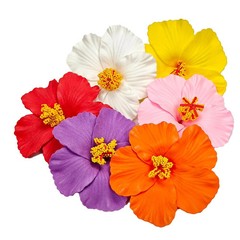 6 Pcs Hawaiian Flower Hair Clips for Women, 3.5 Inch Hawaiian Hibiscus Plumeria