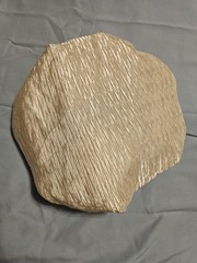 Lilian Vernon Shower Bonnet Cap Vintage Color Cream One Size Fits All pre own